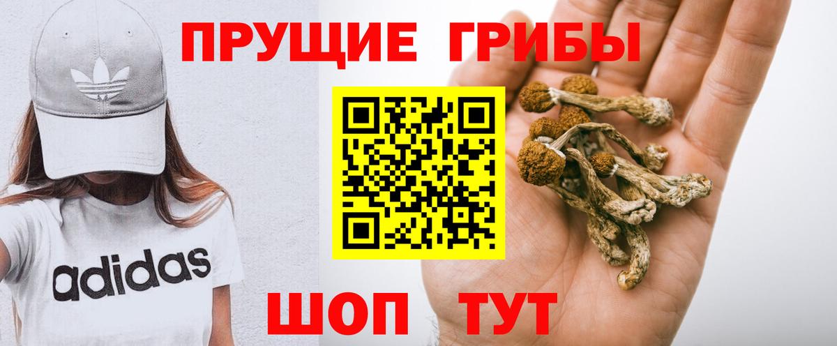 Галлюциногенные грибы ЛСД  купить наркотики цена  Вичуга  Вход с VPN 